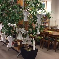 24993462_705124889681515_5890391433614122266_n