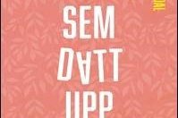 Konan sem datt upp stigann