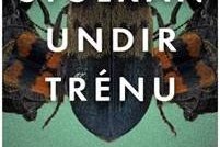 Stúlkan undir trénu eftir Söru Blædel